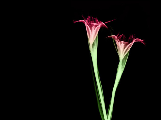 392967 (a): :1024x768